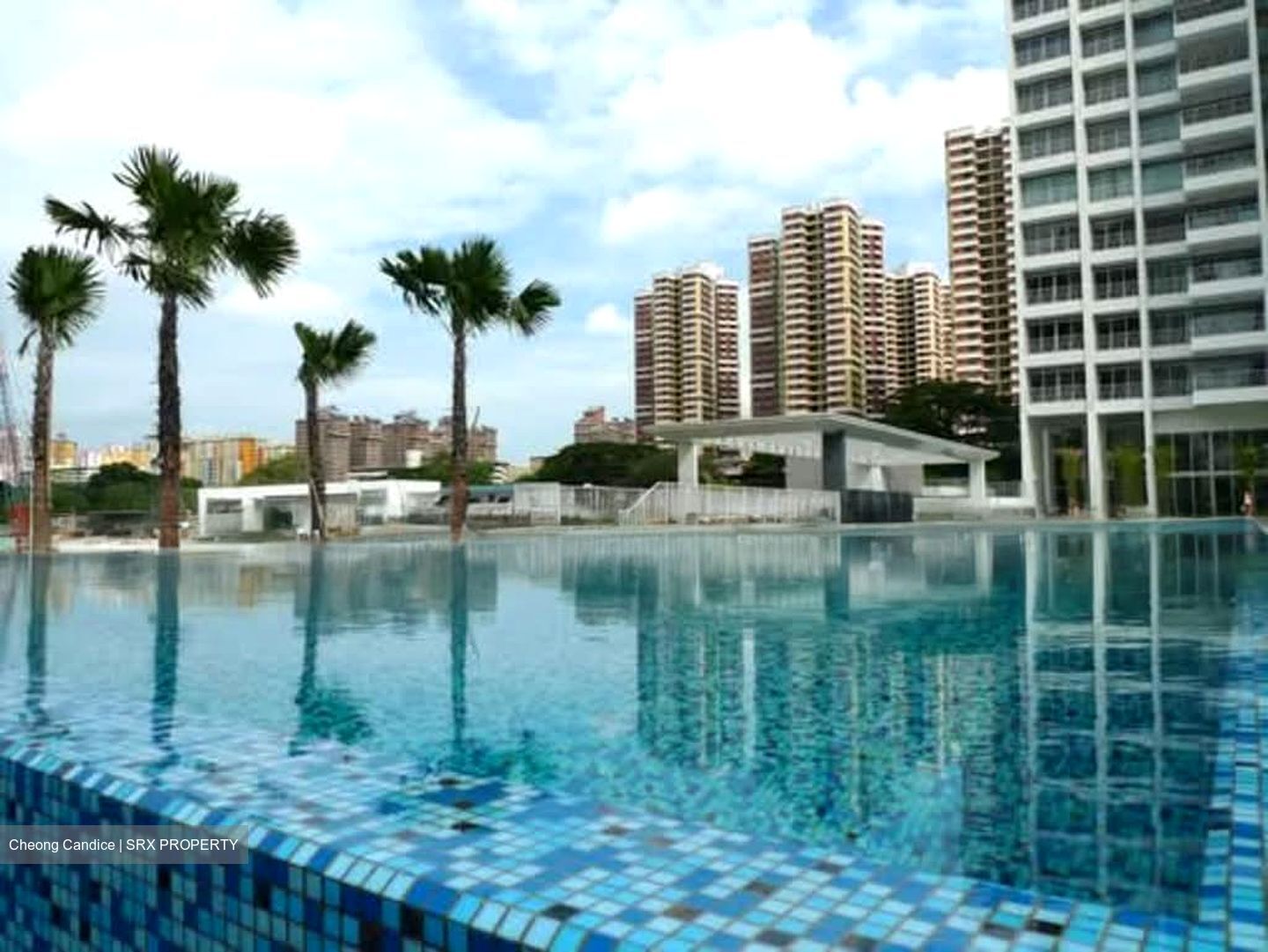 The Metropolitan Condominium (D3), Condominium #532713451